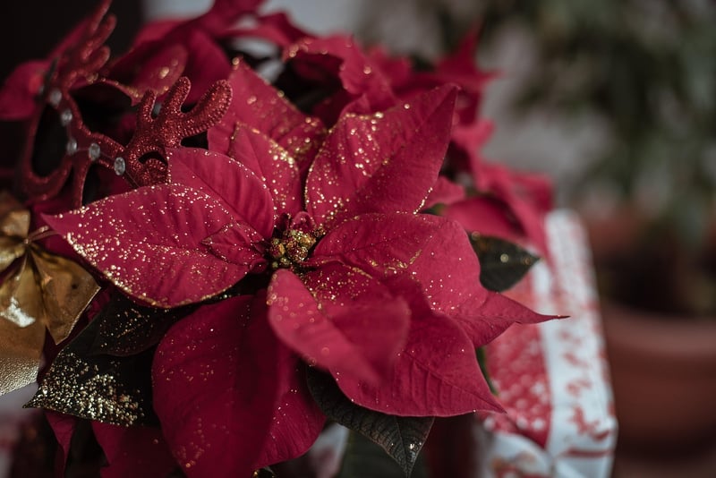 Repurposed Ornament